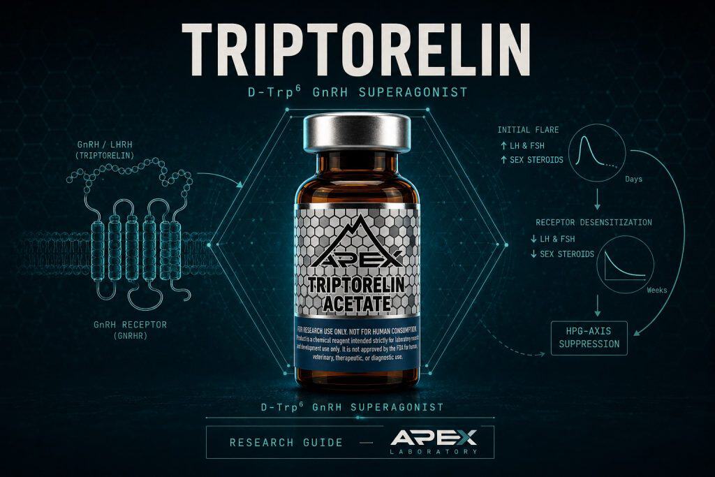 Triptorelin acetate research-grade D-Trp6 GnRH superagonist decapeptide for in-vitro and preclinical research, Apex Laboratory vial