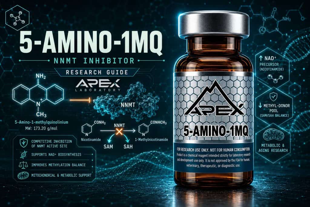 5-Amino-1MQ research-grade small-molecule NNMT inhibitor for in-vitro and preclinical metabolic research, Apex Laboratory vial