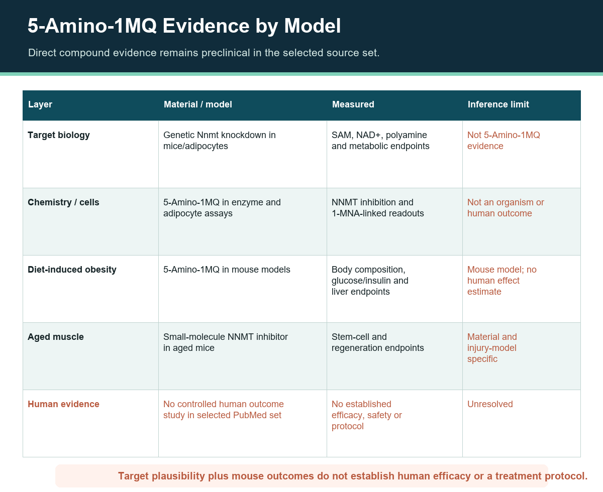 5-Amino-1MQ evidence matrix separating NNMT target biology, cell studies, mouse models and unresolved human evidence