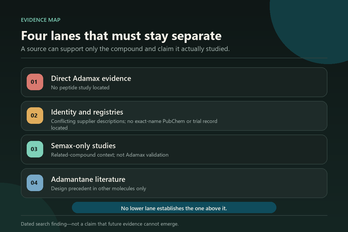 Four evidence lanes separating direct Adamax evidence, identity records, Semax studies, and other adamantane literature