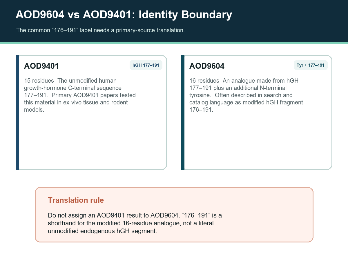 Identity comparison showing AOD9401 as hGH residues 177 to 191 and AOD9604 as that sequence plus an N-terminal tyrosine