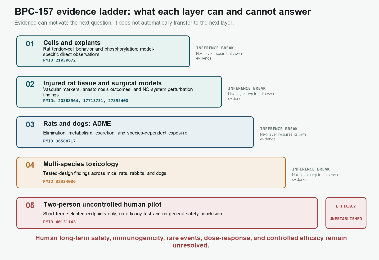 BPC-157 evidence ladder from cell and animal experiments to the unresolved human evidence tier