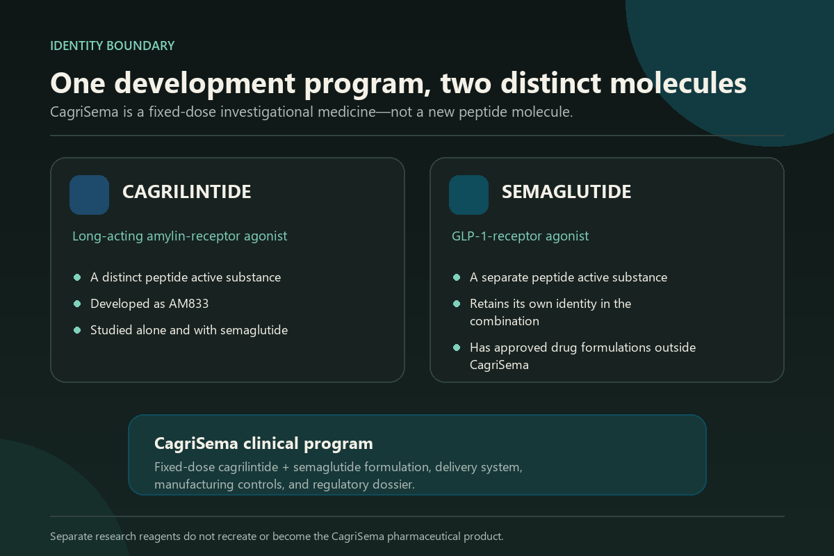 Diagram separating cagrilintide and semaglutide as two active substances within the CagriSema clinical program