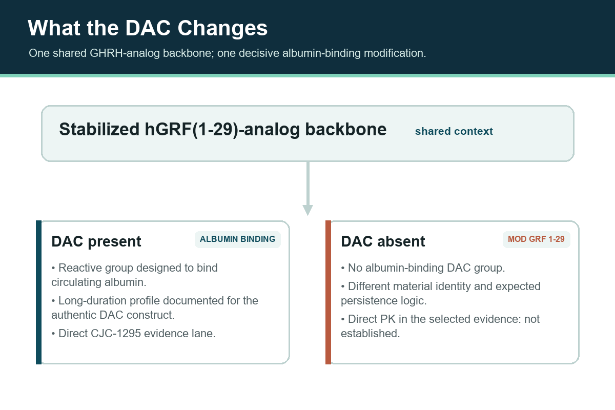 Diagram showing that the DAC albumin-binding group distinguishes CJC-1295 from Modified GRF 1-29