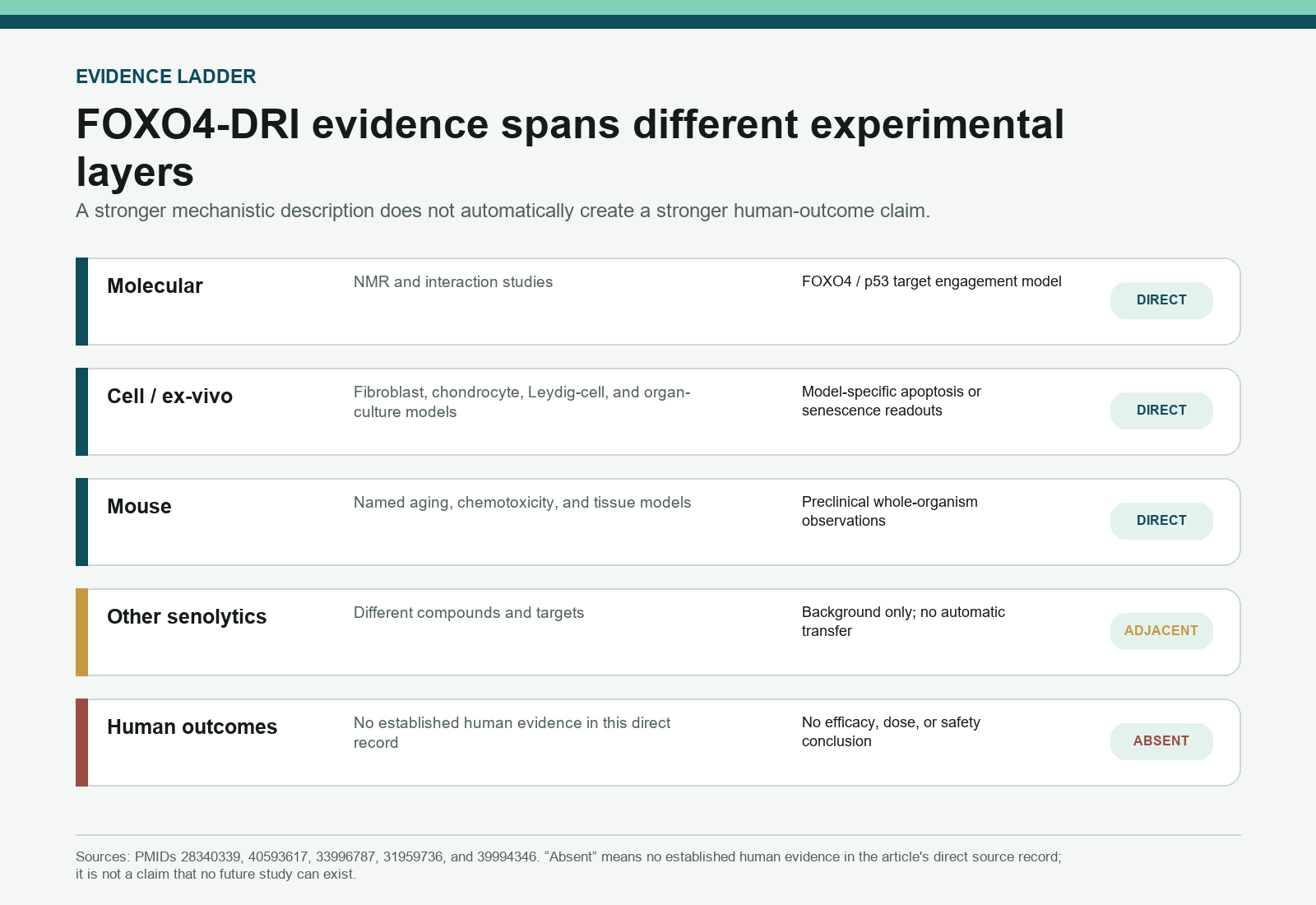 FOXO4-DRI evidence ladder separating molecular, cell, mouse, adjacent senolytic, and human-outcome lanes