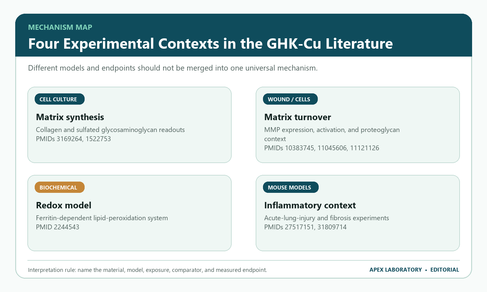 Four-lane GHK-Cu mechanism map separating matrix, metalloproteinase, redox, and inflammatory model findings