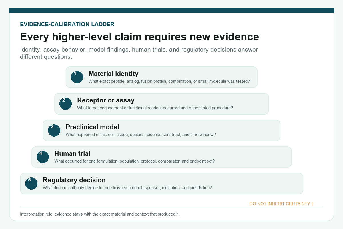 Five-tier evidence ladder from material identity and assays to preclinical models, human trials, and regulatory decisions