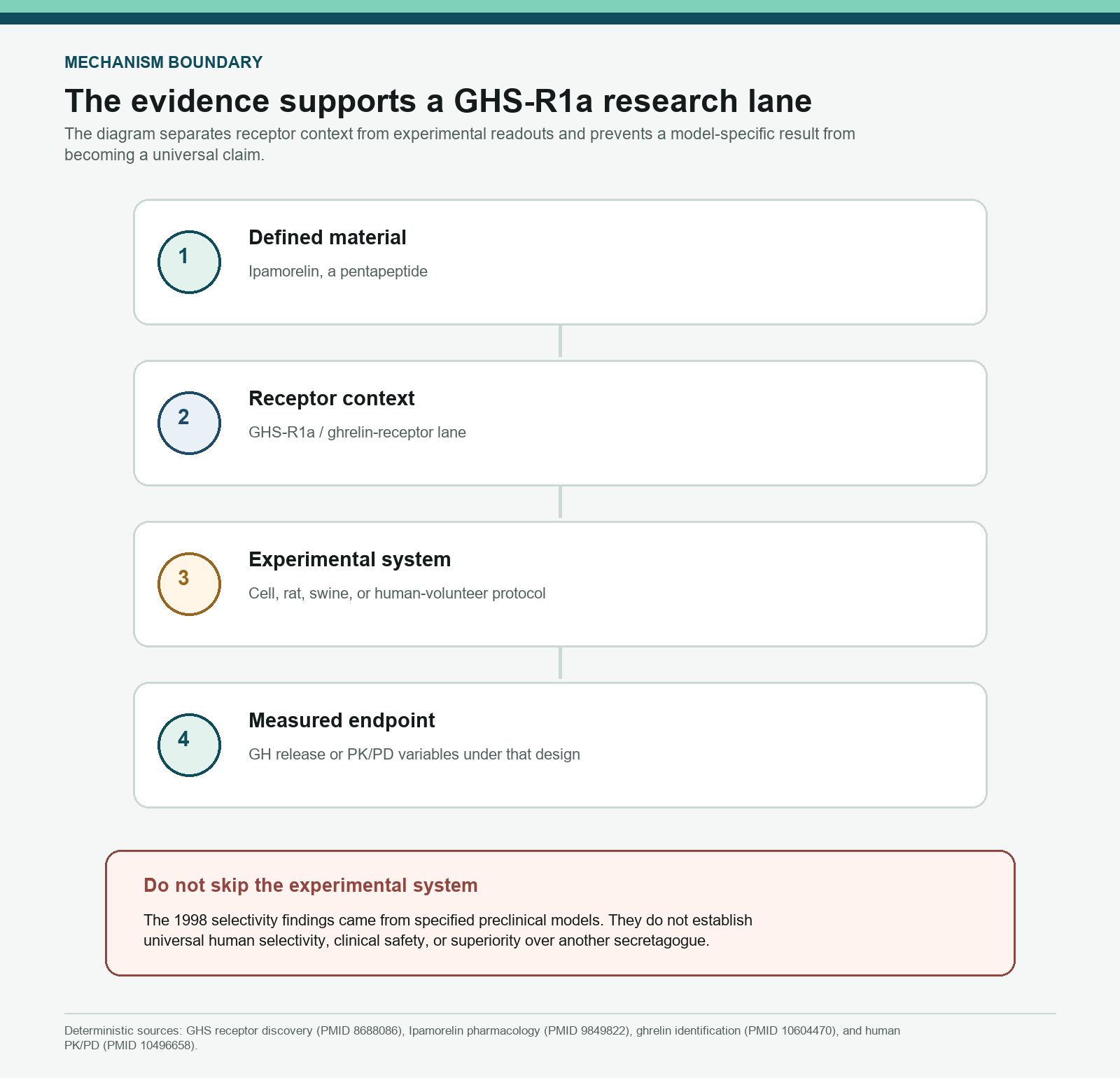 Four-step evidence map from Ipamorelin identity through GHS-R1a context to experimental readouts