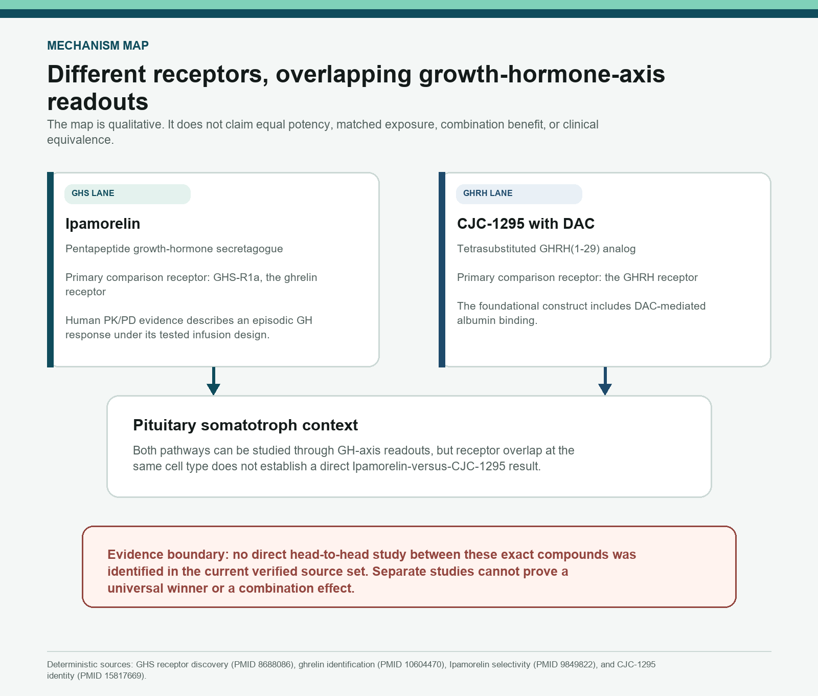 Qualitative map separating Ipamorelin GHS-R1a and CJC-1295 GHRH receptor pathways