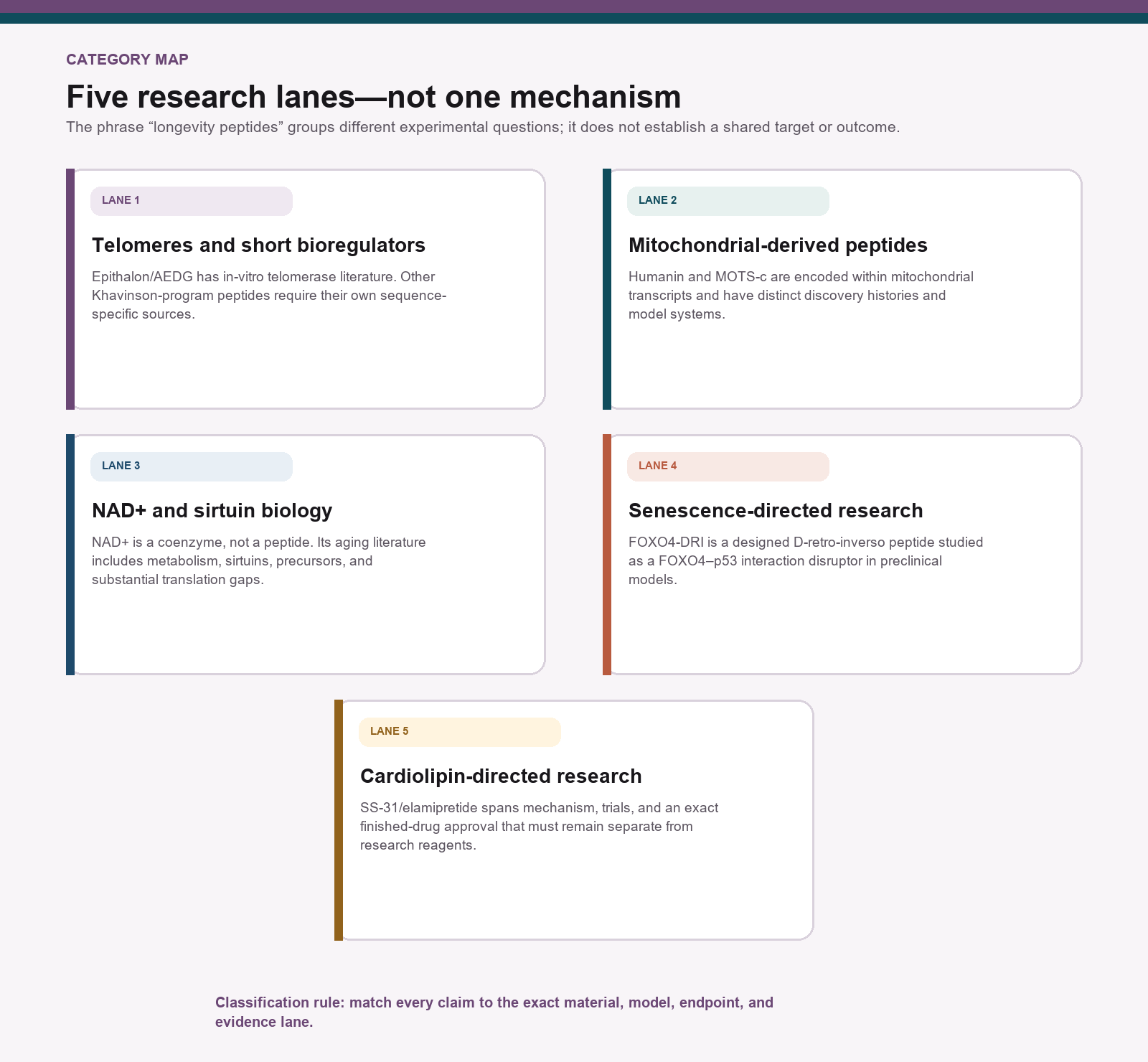 Five-lane map of longevity and bioregulator research categories