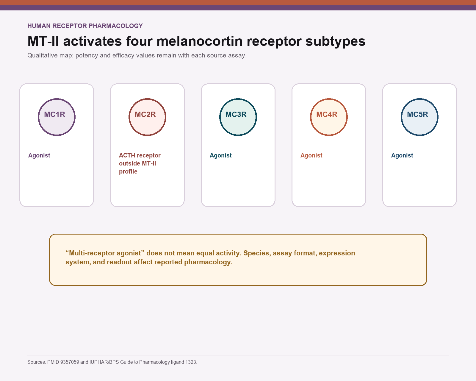 Qualitative receptor map showing Melanotan II agonism at MC1R, MC3R, MC4R, and MC5R with MC2R outside the profile