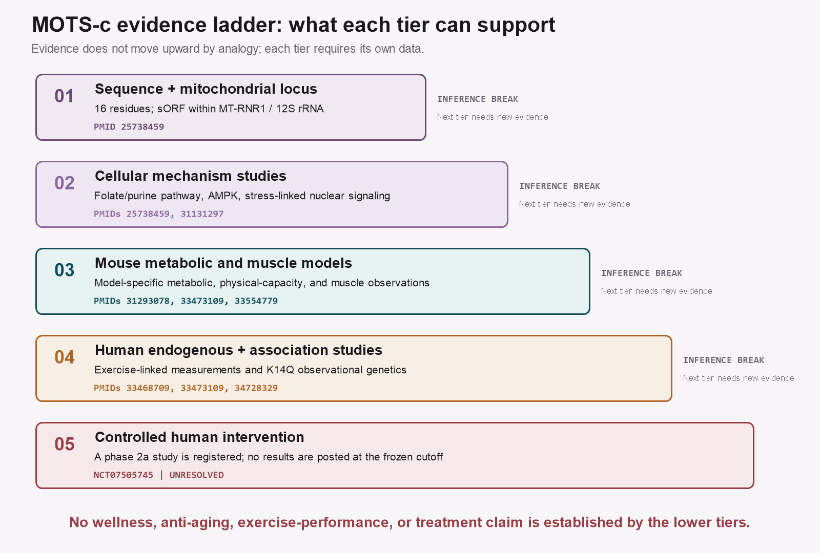 MOTS-c evidence ladder from sequence identity through an unresolved controlled-human tier