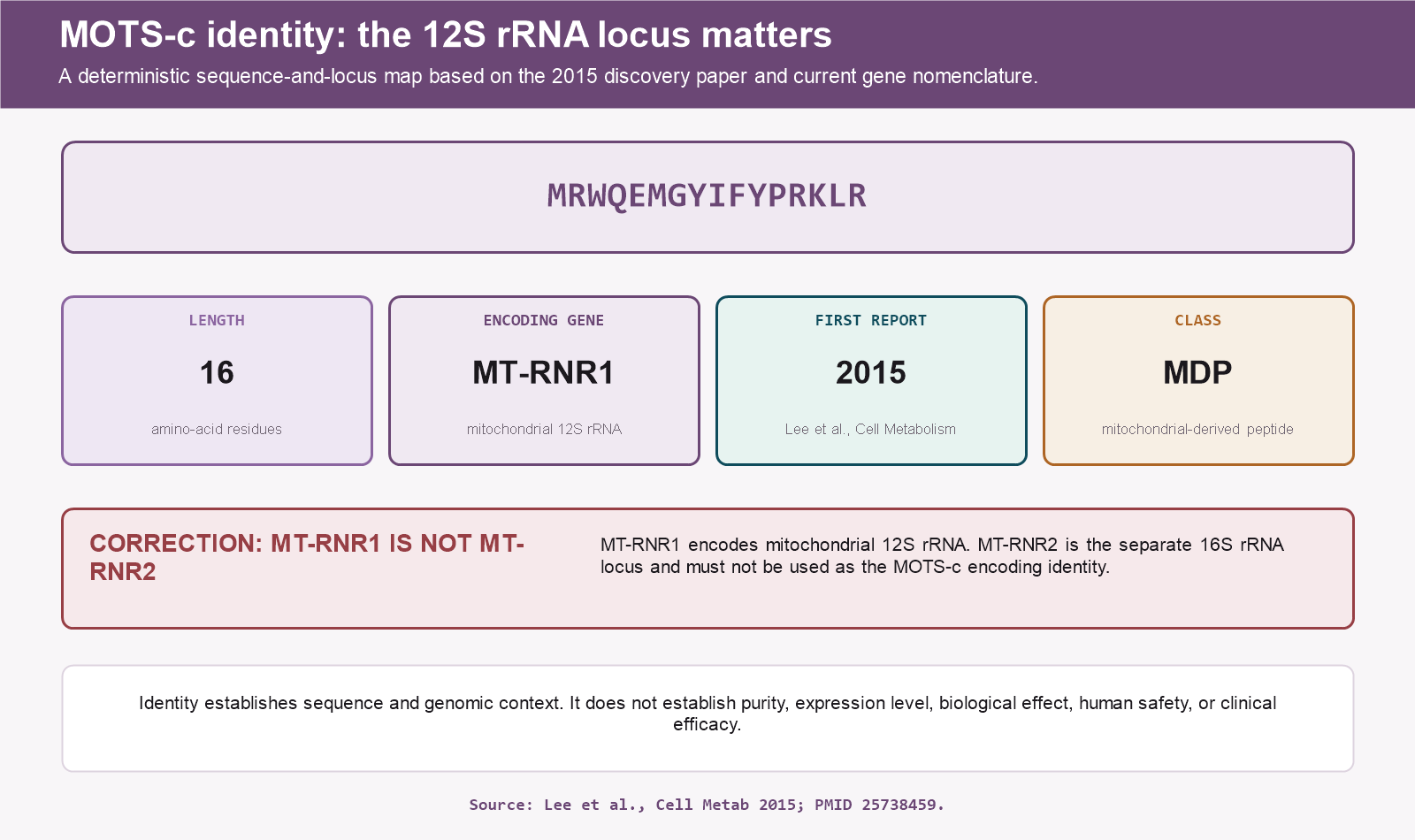 MOTS-c identity card showing the 16-residue sequence and MT-RNR1 12S rRNA locus