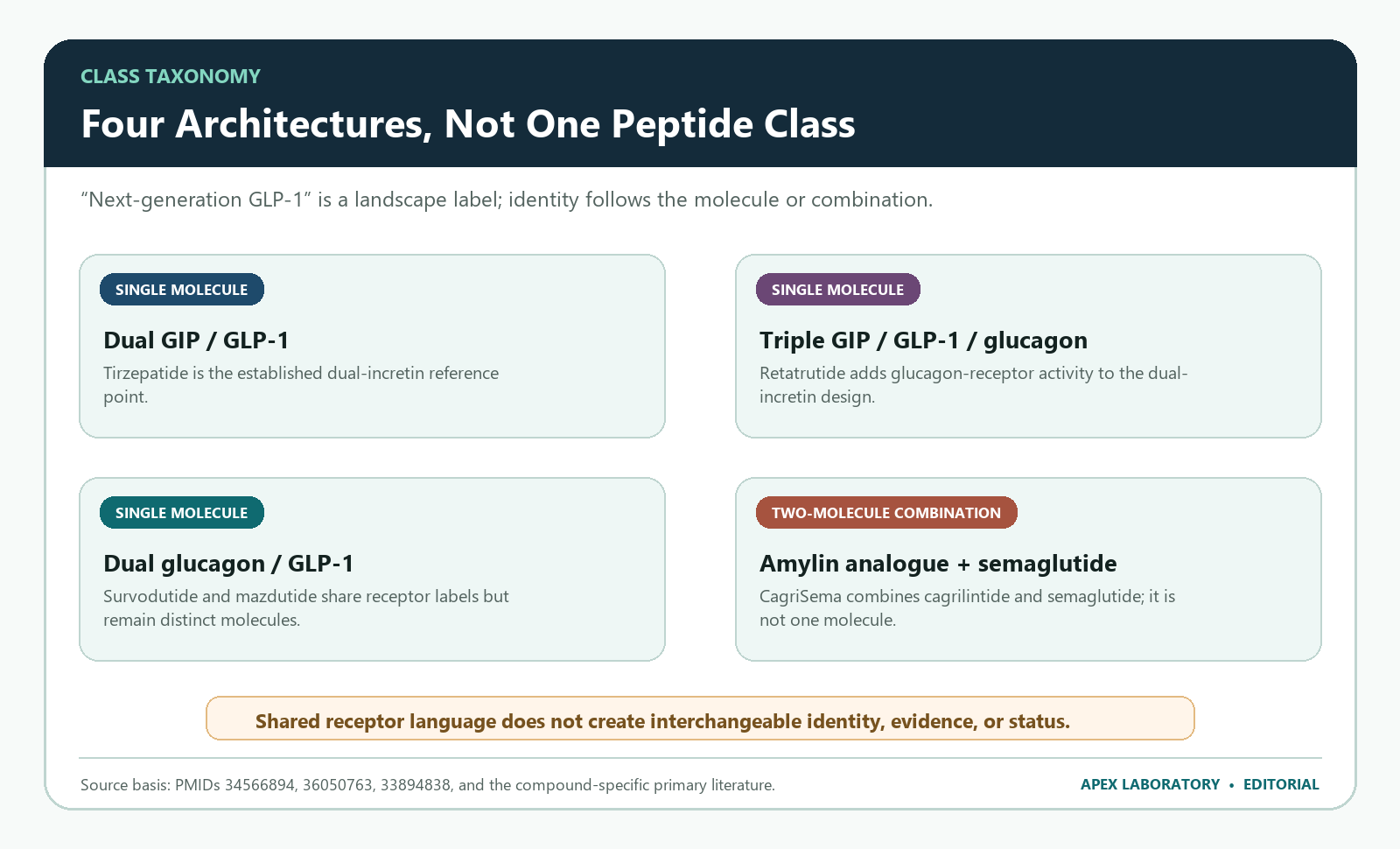 Four research architectures: dual incretin, triple agonist, dual glucagon and GLP-1, and amylin plus semaglutide