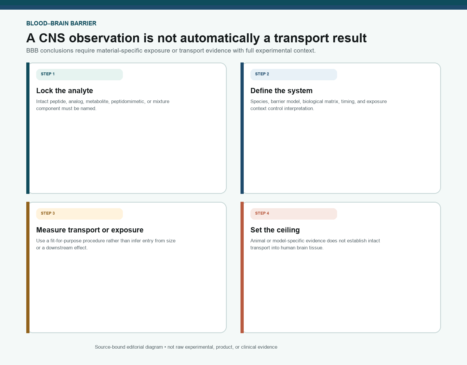 BBB interpretation flow covering identity, transport evidence, species, route, analyte, and CNS endpoint