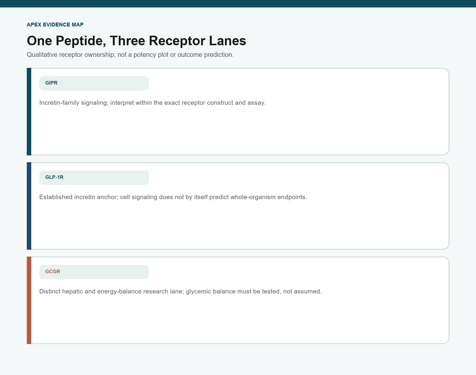 Qualitative map of Retatrutide engagement across GIP, GLP-1, and glucagon receptors