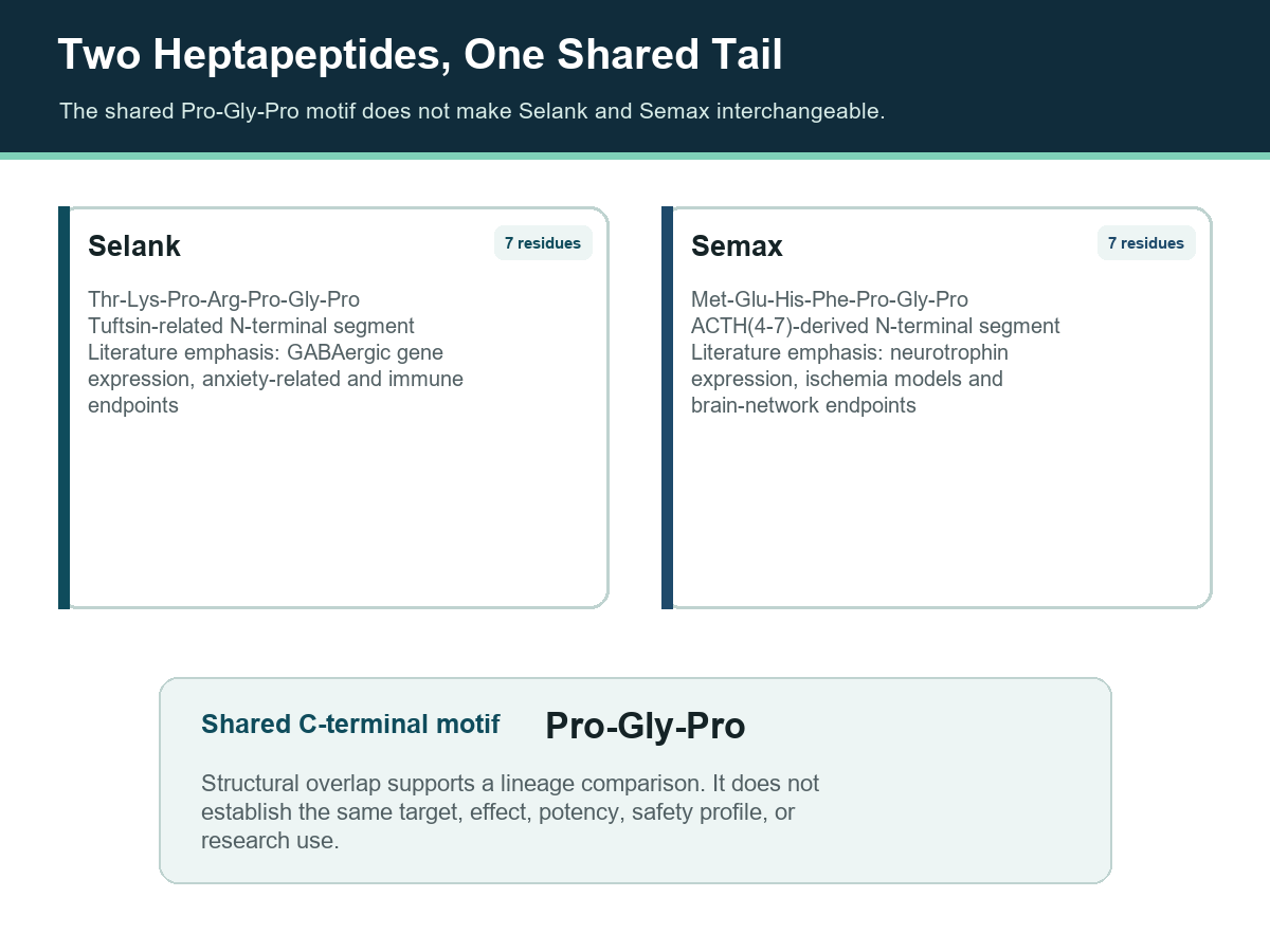 Selank and Semax identity map showing distinct seven-residue sequences and a shared Pro-Gly-Pro tail