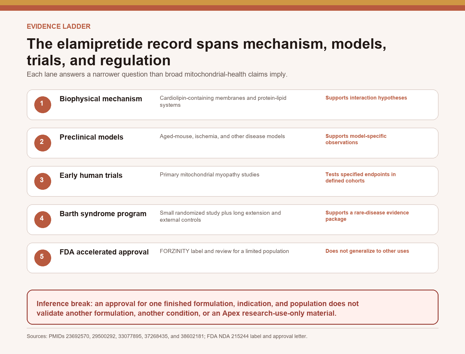 Elamipretide evidence ladder from cardiolipin mechanism and preclinical models through trials and FDA accelerated approval