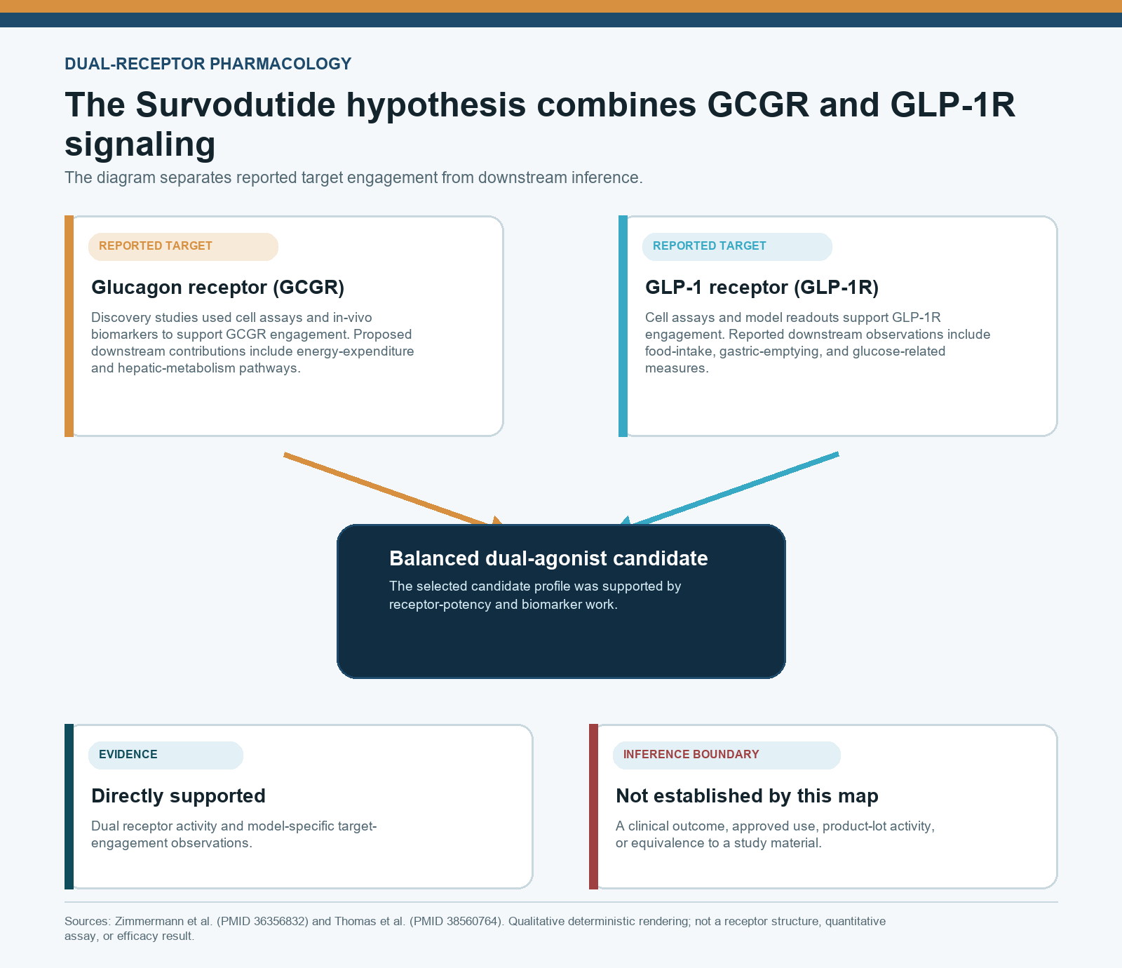 Qualitative Survodutide pharmacology map separating GCGR and GLP-1R target evidence from downstream inference