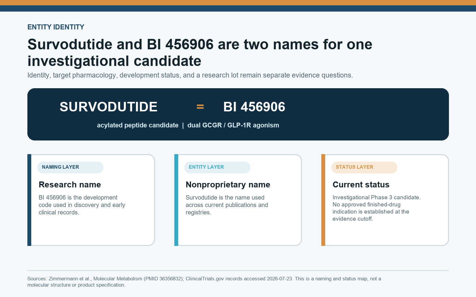 Survodutide identity map showing that Survodutide and BI 456906 name the same investigational dual-receptor candidate