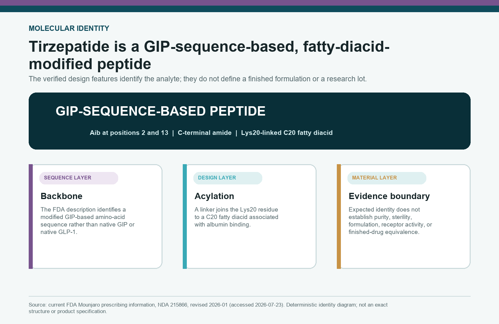Tirzepatide identity map showing its GIP-sequence-based backbone, selected modifications, and C20 fatty-diacid component