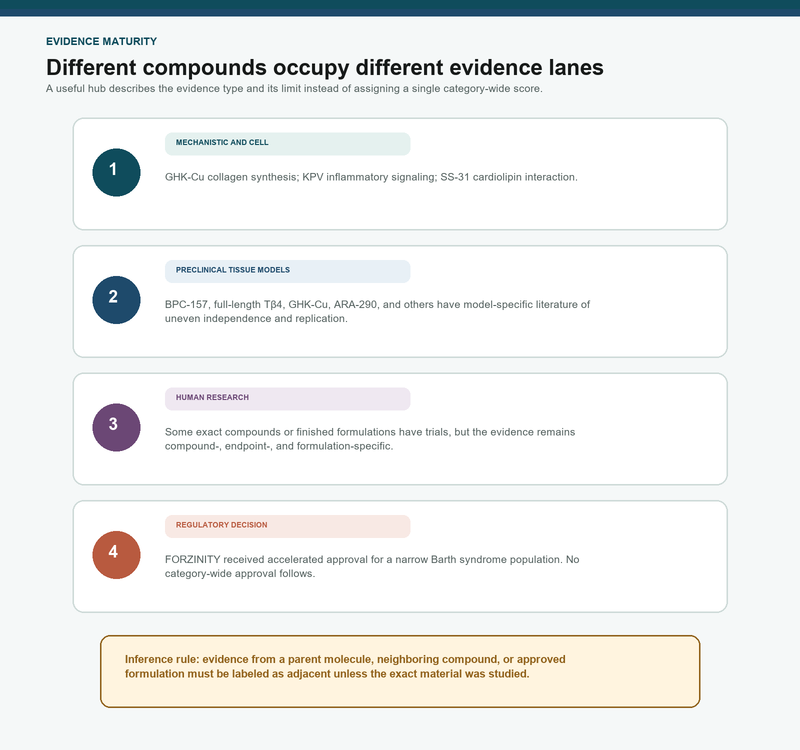 Qualitative tissue-repair evidence map from cell models through a compound-specific regulatory decision