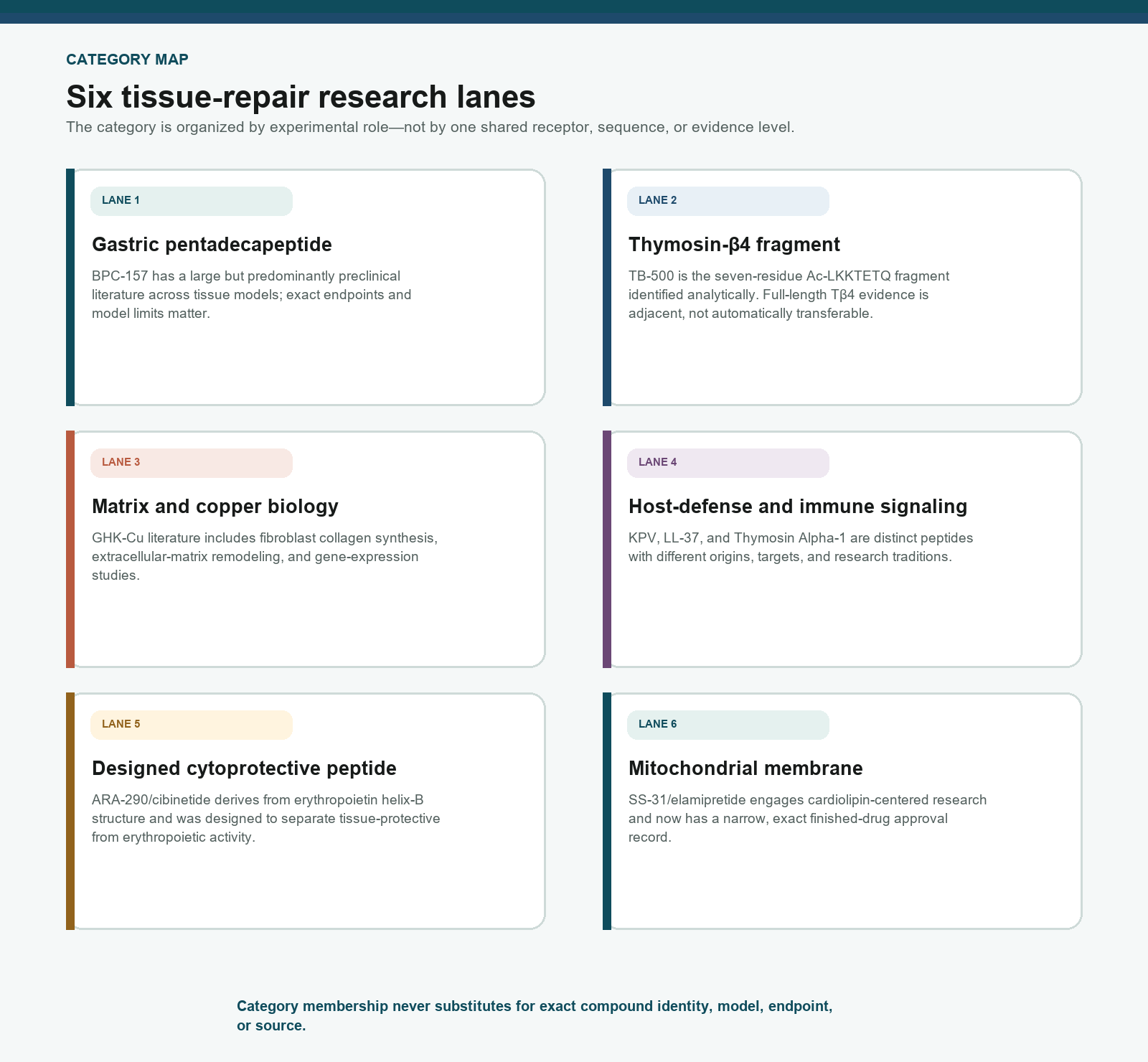 Six-lane map of tissue-repair research peptide categories