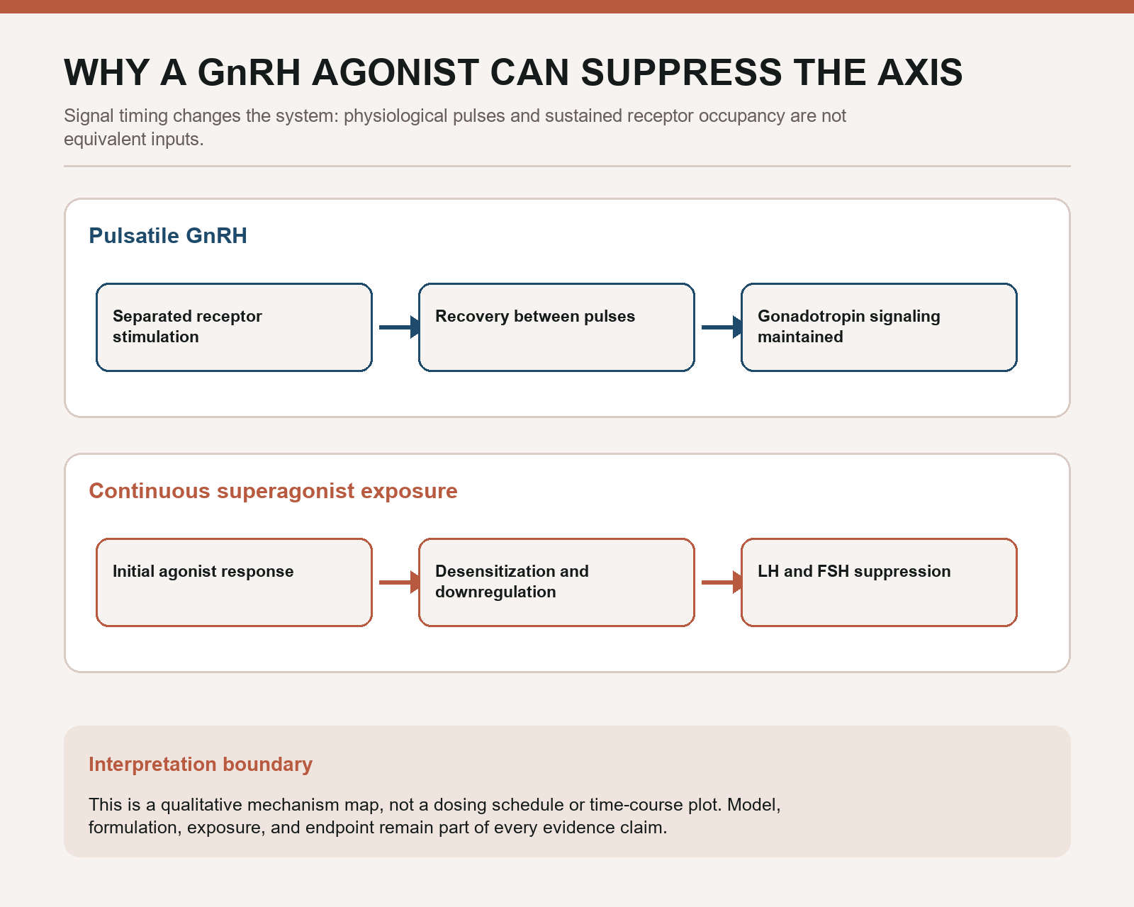 Qualitative comparison of pulsatile GnRH signaling and continuous superagonist exposure