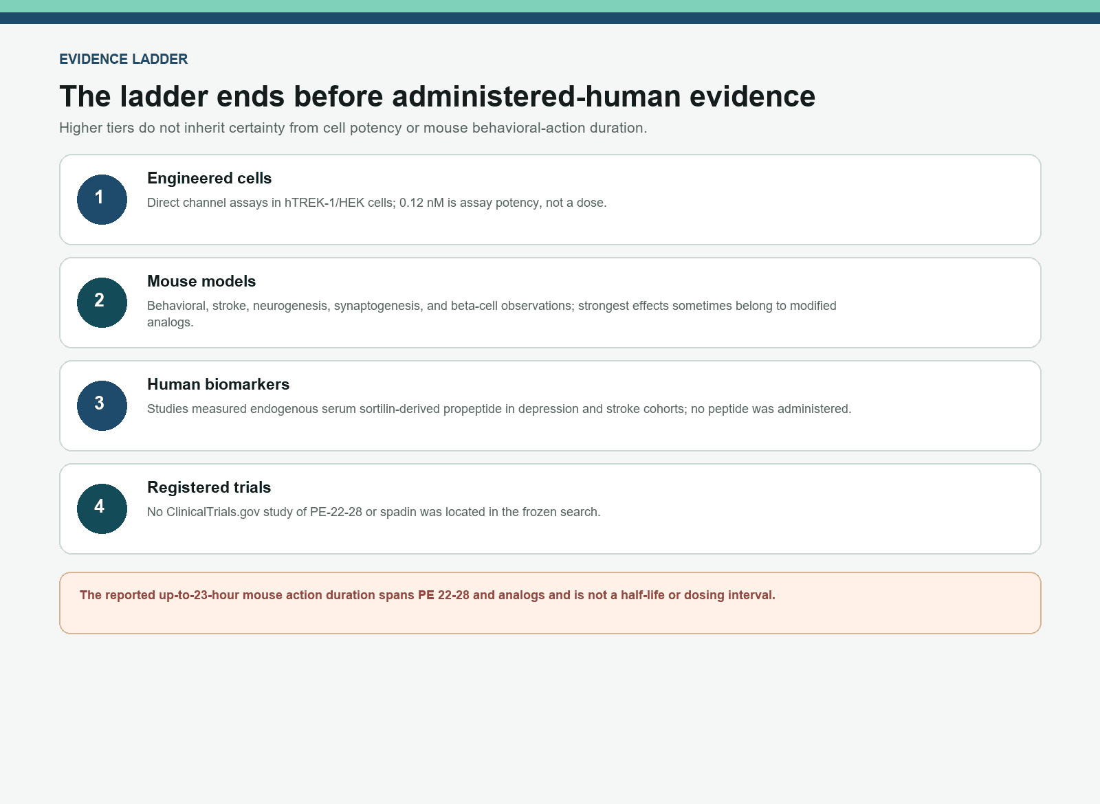 PE-22-28 evidence ladder from engineered cells and mice to absent administered-human studies